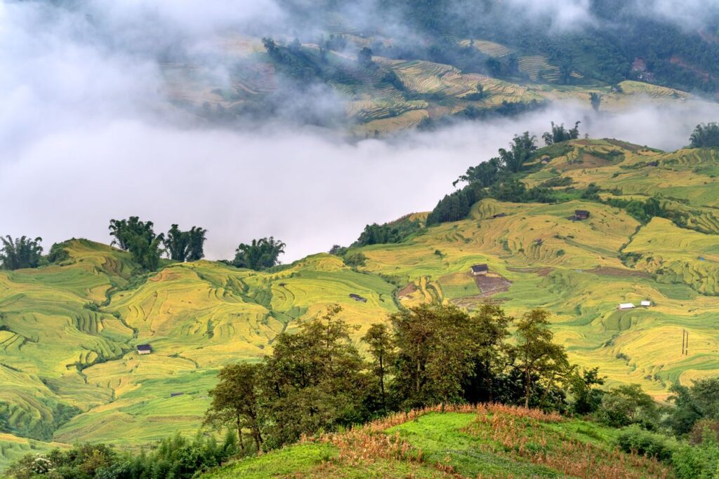 Muong Hoa Valley
