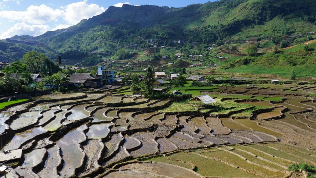 Rice Terraces in Sapa