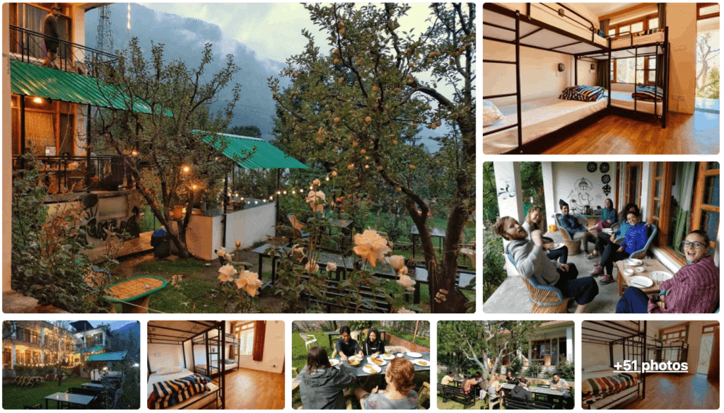 Best Social Hostel in Manali