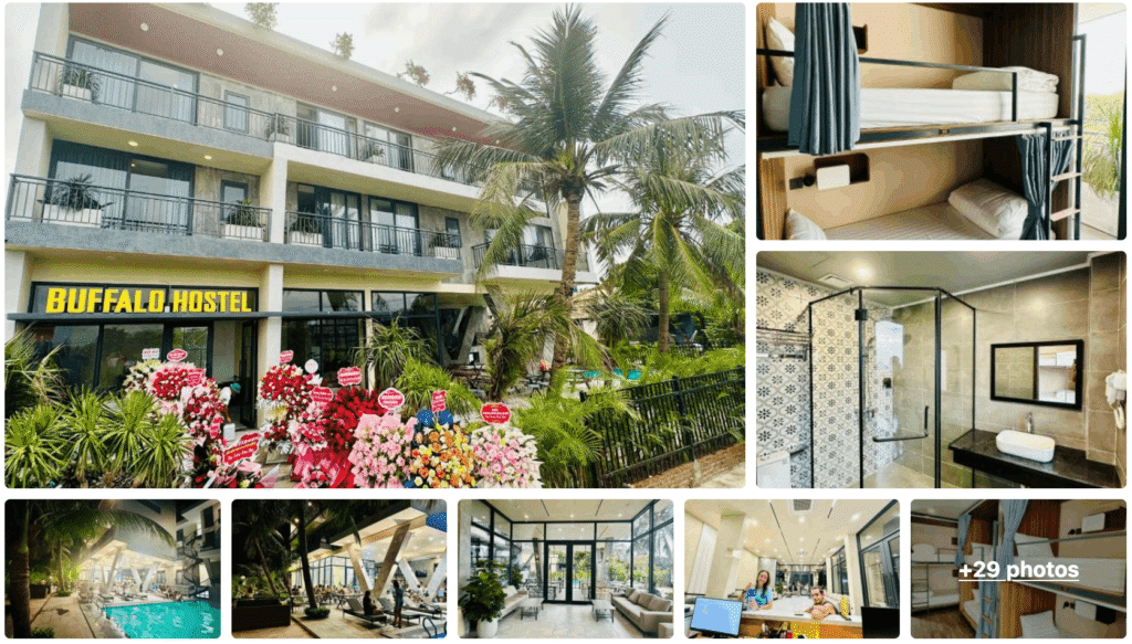 Ninh Binh Buffalo Hostel